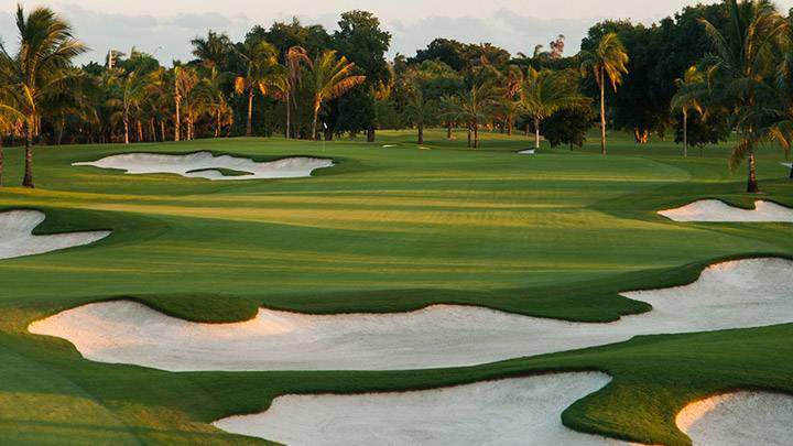 Golf-course-Trump-Doral-National-Hotel-Review.jpg